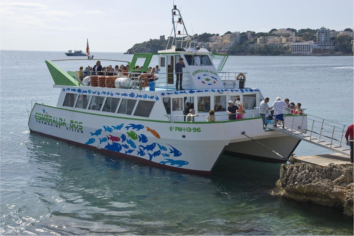 Dolphin Boat - £25